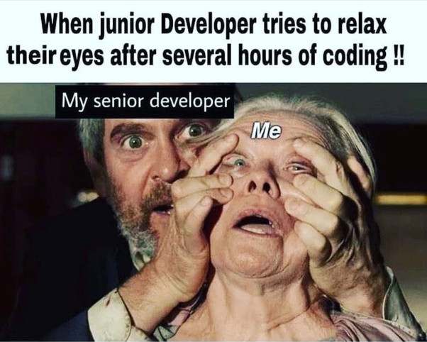 Junior developer meme